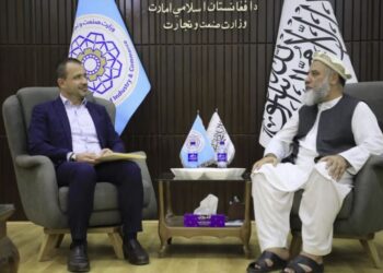 د ترکیې سفیر عزیزي ته د اقتصادي همکارۍ سازمان ناسته کې د ګډون بلنه ورکړې