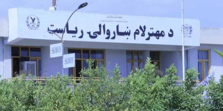 لغمان؛ مهترلام ښاروالۍ ۶ میاشتو کې ۵۵ میلیونه افغانۍ عواید راټول کړي