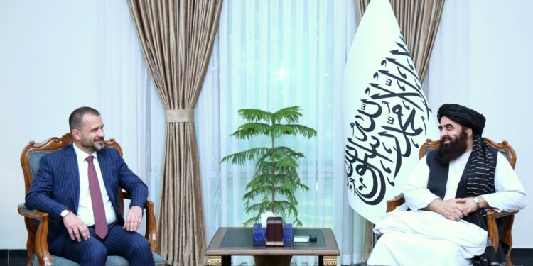 امیرخان متقي کابل کې د ترکیې سفارت له چارسمبالي سره کتلي