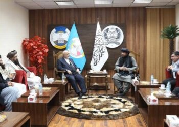 د اوبو او انرژۍ وزارت: د اوبو معین د ترکي پانګوالو یوې ډلې سره کتلي
