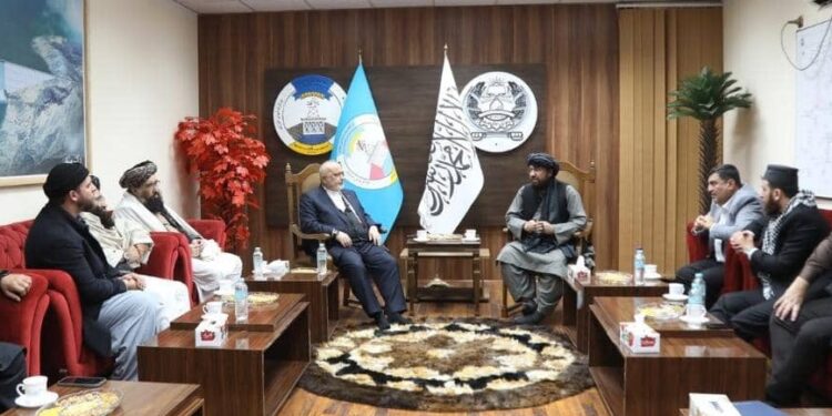د اوبو او انرژۍ وزارت: د اوبو معین د ترکي پانګوالو یوې ډلې سره کتلي