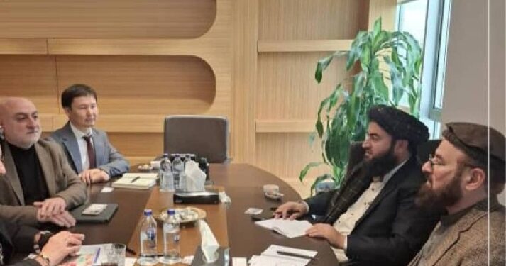 د افغانستان بانک لومړي مرستیال په مشرۍ پلاوي ترکیې ته سفر کړی