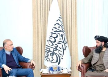 د بهرنیو چارو وزارت مالي او اداري مرستيال له خپل ایراني سیال سره کتلي