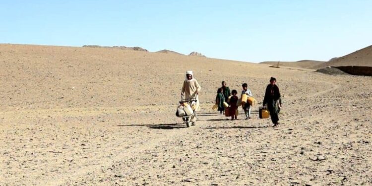 اوچا: افغانستان تېرو څو لسیزو کې له تر ټولو سختې وچکالۍ سره مخ دی