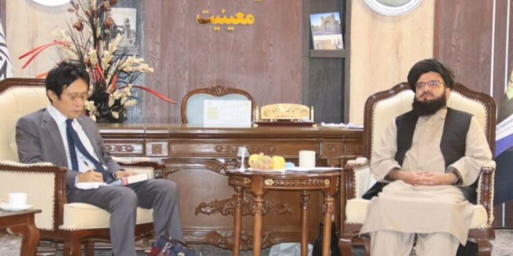 د افغانستان او جاپان ترمنځ پر کلتوري همکاریو خبرې شوې دي