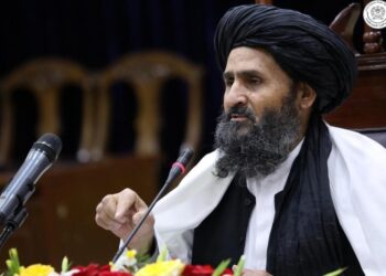 برادر: د پاکستان پر ځای دې هرڅومه ژر چې وي پر بدیلو لارو سوداګري پيل شي