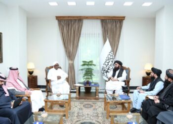 مولوي امیرخان متقي؛ د اسلامي همکاریو سازمان له مرستیال او مل پلاوي سره کتلي