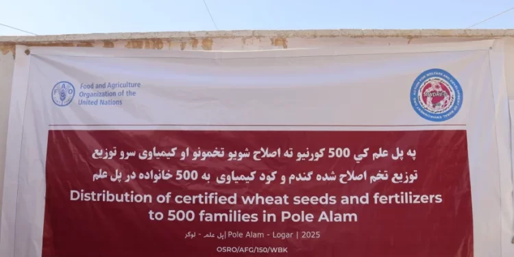 لوګر؛ بزګرانو ته د اصلاح شويو تخمونو او سرو د وېش لړۍ پیل شوې