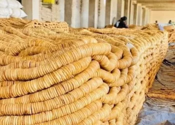 کندهار؛ روان کال بهرنیو هېوادونو ته نږدې ۴۰ زره ټنه وچ انځر صادر شوي