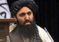 نجیب: پاکستاني پلاوي دغه هېواد کې د جنګ ناروا بللو فتوا غوښتې وه