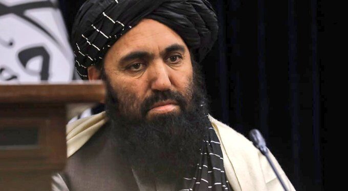 نجیب: پاکستاني پلاوي دغه هېواد کې د جنګ ناروا بللو فتوا غوښتې وه