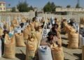 کندهار کې پر ۷۶۳ بزګرانو اصلاح شوي تخمونه ووېشل شول