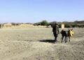 م.م: افغانستان د چاپېریال د تخریب پر وړاندې زیان مننونکی دی