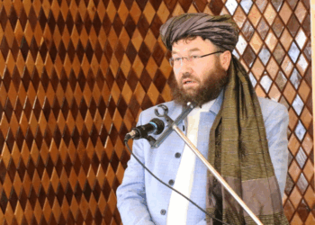 عمري: د ځنګلونو د ساتنې او بیارغونې لپاره له ټولو امکاناتو ګټه اخلو