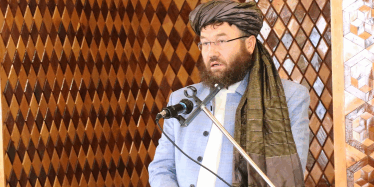 عمري: د ځنګلونو د ساتنې او بیارغونې لپاره له ټولو امکاناتو ګټه اخلو