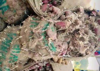 د لارو تړل کېدو له امله پاکستاني سوداګر هره ورځ څلور میلیونه ډالره زیان ویني