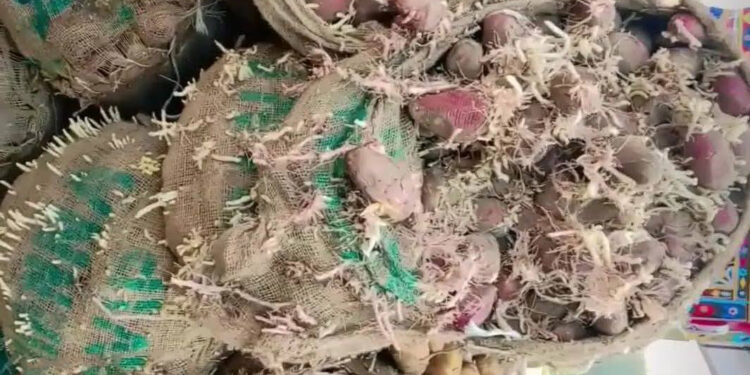 د لارو تړل کېدو له امله پاکستاني سوداګر هره ورځ څلور میلیونه ډالره زیان ویني