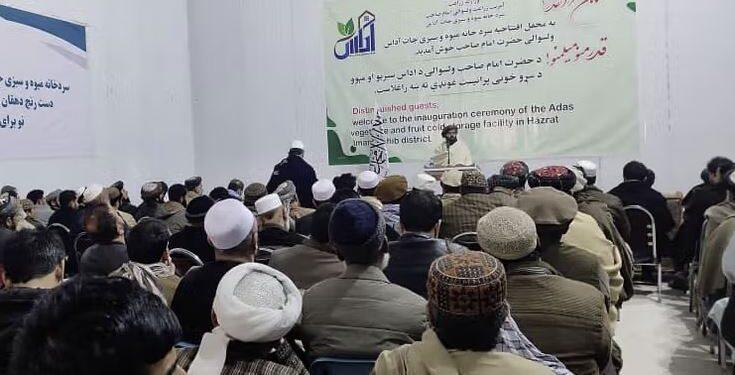 کندوز کې؛ د ۴۲ میلیونه افغانیو په ارزښت د تازه مېوو د ساتنې لپاره سړه خونه جوړه شوې