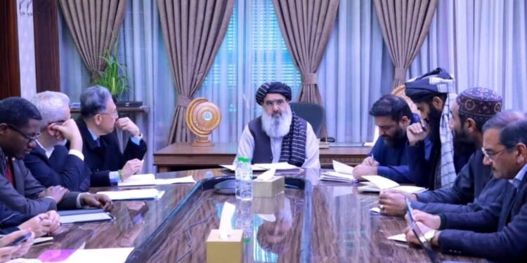د عامې روغتیا وزیر د نړیوالو ادارو له استازو سره غونډه کړې ده