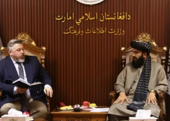 د ګرځندوی، مالي او اداري معین له سرګي سټوپاچف سره کتلي دي