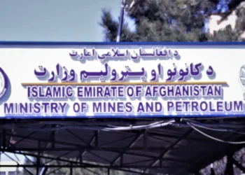 په ۵ ولایتونو کې د ۷۰۰ میلیونه ډالرو په لګښت د سمنټو کارخونې جوړېږي