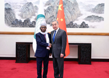 وانګ يي د اسلامي همکارۍ سازمان له عمومي منشي ابراهيم طاها سره ولیدل
