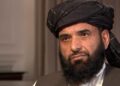 شاهین: افغانستان کې د پانګونې لپاره پراخ فرصتونه برابر شوي