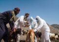 د خوړو خوندیتوب لپاره افغانستان کې ۱۰۰ میلیونه ډالري پروژه پيلیږي