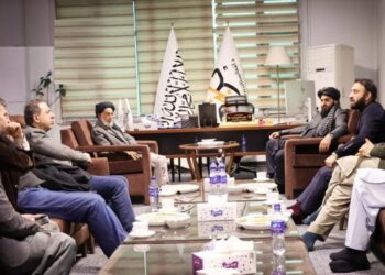 ترکي پانګوالو د برېښنا د تولید برخه کې پانګونې ته لیوالتیا ښودلې