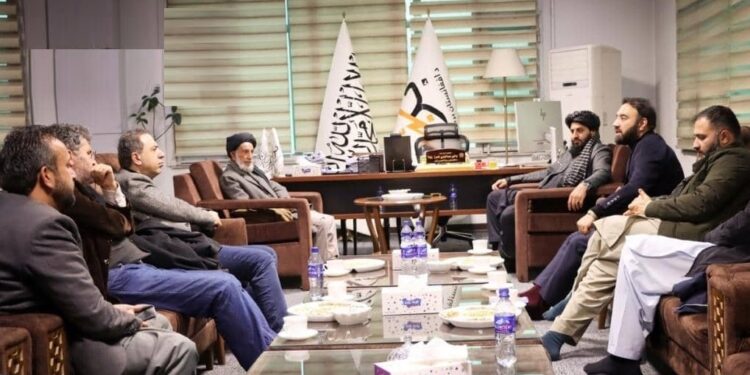 ترکي پانګوالو د برېښنا د تولید برخه کې پانګونې ته لیوالتیا ښودلې