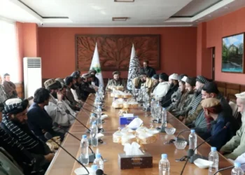 کرنې وزات: زرګونه جریبه دولتي ځمکه پانګوالو ته په کرایه ورکړل شوه