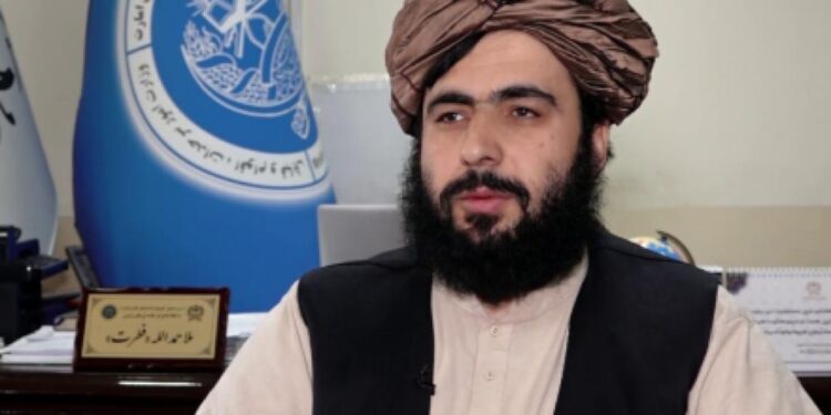 فطرت: د کډوالو لپاره څه باندې ۱۲۴زره جریبه ځمکه ځانګړې شوې