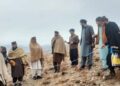 ننګرهار؛ پچیراګام کې زرګونه مېوه لرونکي او بې مېوې نیالګي کېنول کېږي