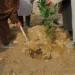 لغمان کې سږ کال نږدې یو میلیون نیالګي کېنول کیږي
