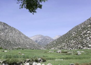 ننګرهار؛ د ناچاودې مرمۍ چاودنه کې یو ځوان ژوند بایللی