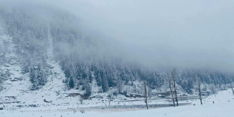 نورستان؛ د درنې واورې له امله د چت لوېدو پېښه کې ۳ کسان مړه شوي