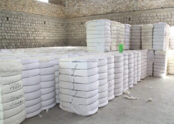 تېر کال له افغانستانه څه باندې ۱۰۰ زره ټنه پنبه بهر ته صادره شوې