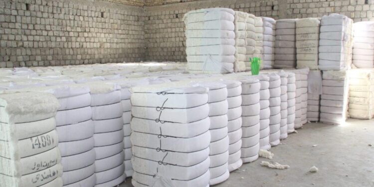 تېر کال له افغانستانه څه باندې ۱۰۰ زره ټنه پنبه بهر ته صادره شوې