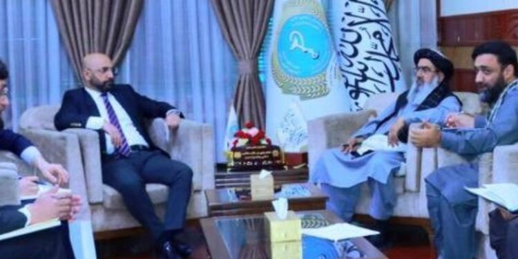 د عامې روغتیا وزیر؛ کابل کې د ترکیې سفارت له شارژدافیر سره کتلي