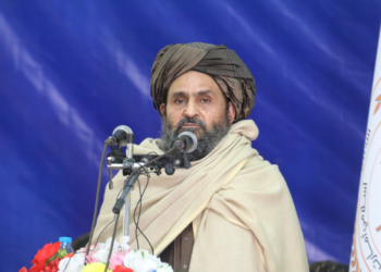 برادر: افغانستان د ښمن لپاره غوړه مړۍ نه؛ بلکي د زقوم ونه ده