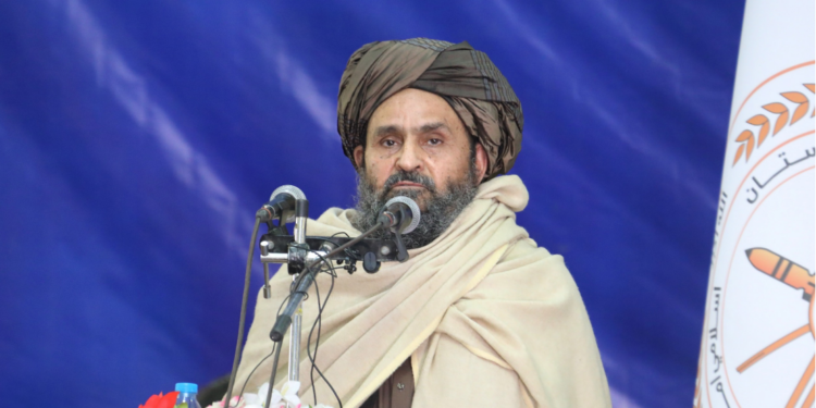 برادر: افغانستان د ښمن لپاره غوړه مړۍ نه؛ بلکي د زقوم ونه ده