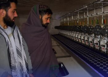 د معیار او کیفیت ادارې د کورنیو تولیداتو ارزونه پیل کړې ده