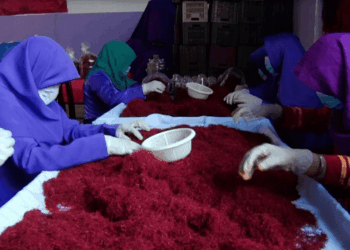 تېر کال د ۵۴ میلیونه ډالرو په ارزښت زعفران بهر ته صادر شوي