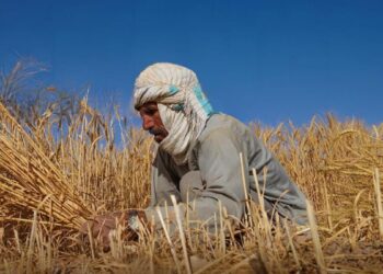 ایف اې او: د مالي مرستو د ترلاسه کولو لپاره نوملیکنه پیل شوې