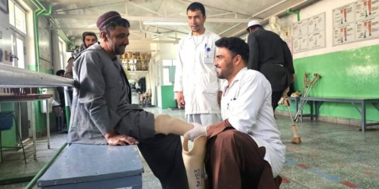 سره صلیب؛ تېرکال له ۲۱۸زرو ډېرو معلولیتلرونکو ته خدمتونه وړاندې کړي