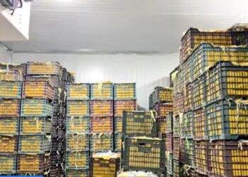 هلمند کې د ۵۰ میلیونه افغانیو په لګښت سړه خونه جوړه شوه