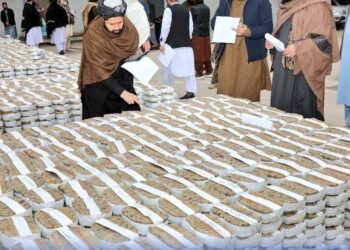 هرات کې څه باندې ۷۳۵میلیونه زړې افغانۍ وسوځول شوې