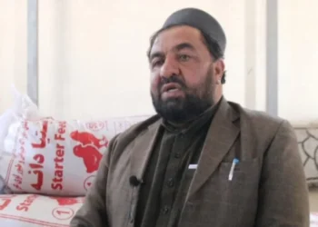 لوګر؛ یو تولیدي شرکت د ورځې شاوخوا ۴۰ ټنه حیواني خوراکه تولیدوي