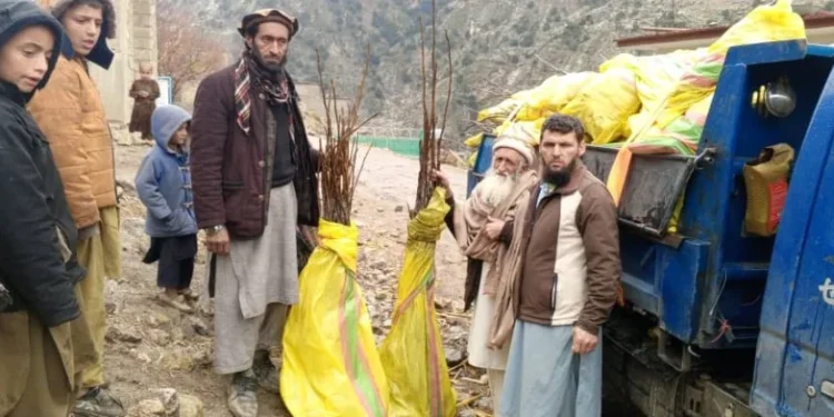 نورستان کې د چهارمغزو ۴۰ بڼونه جوړیږي