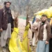 نورستان کې د چهارمغزو ۴۰ بڼونه جوړیږي